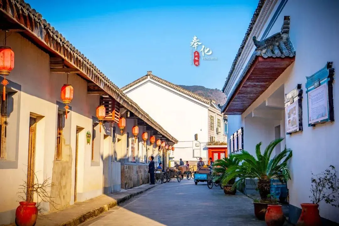 【乡村旅游】从“微改造”到“共富圈”:浙江“小而美”乡村文旅的破局逻辑!