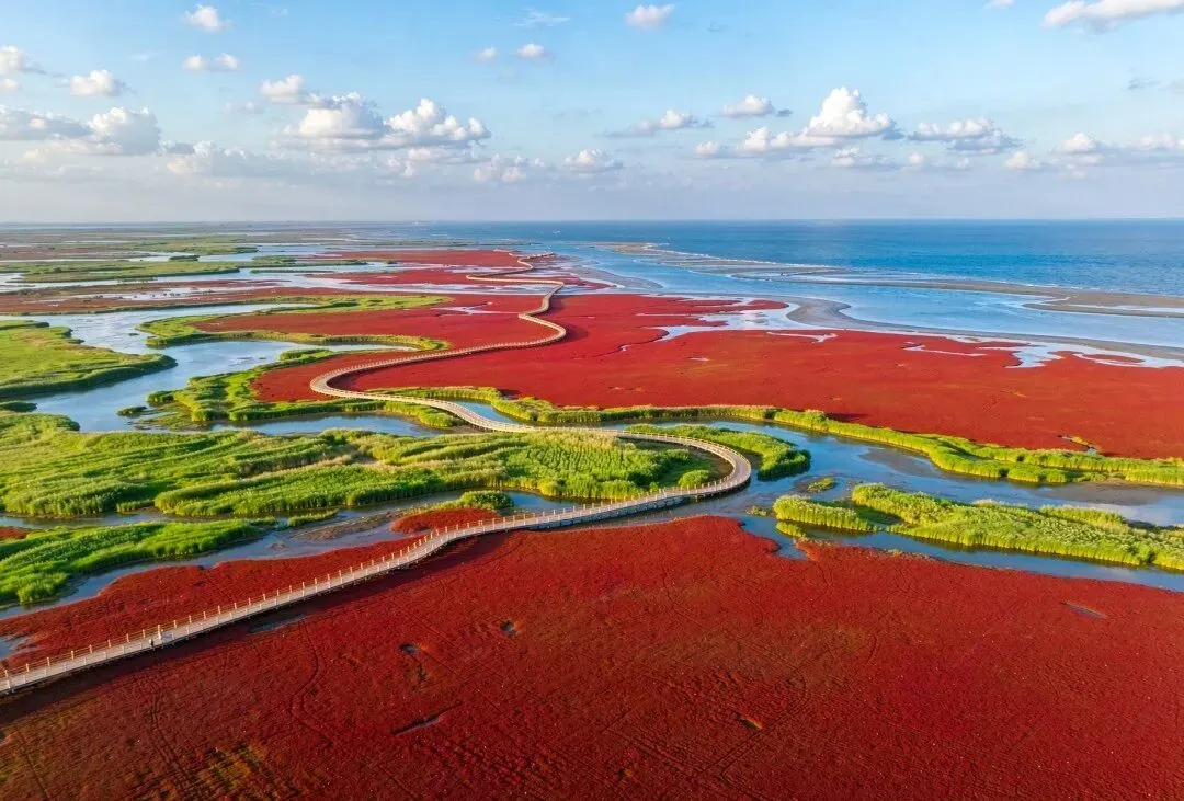 5A景区系列:盘锦红海滩 · 实用旅行攻略
