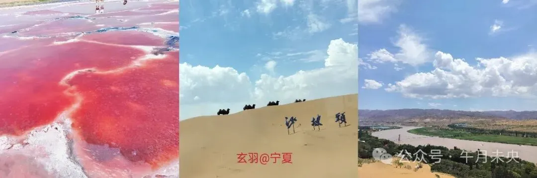 境外旅行险怎么选?超全攻略来啦!