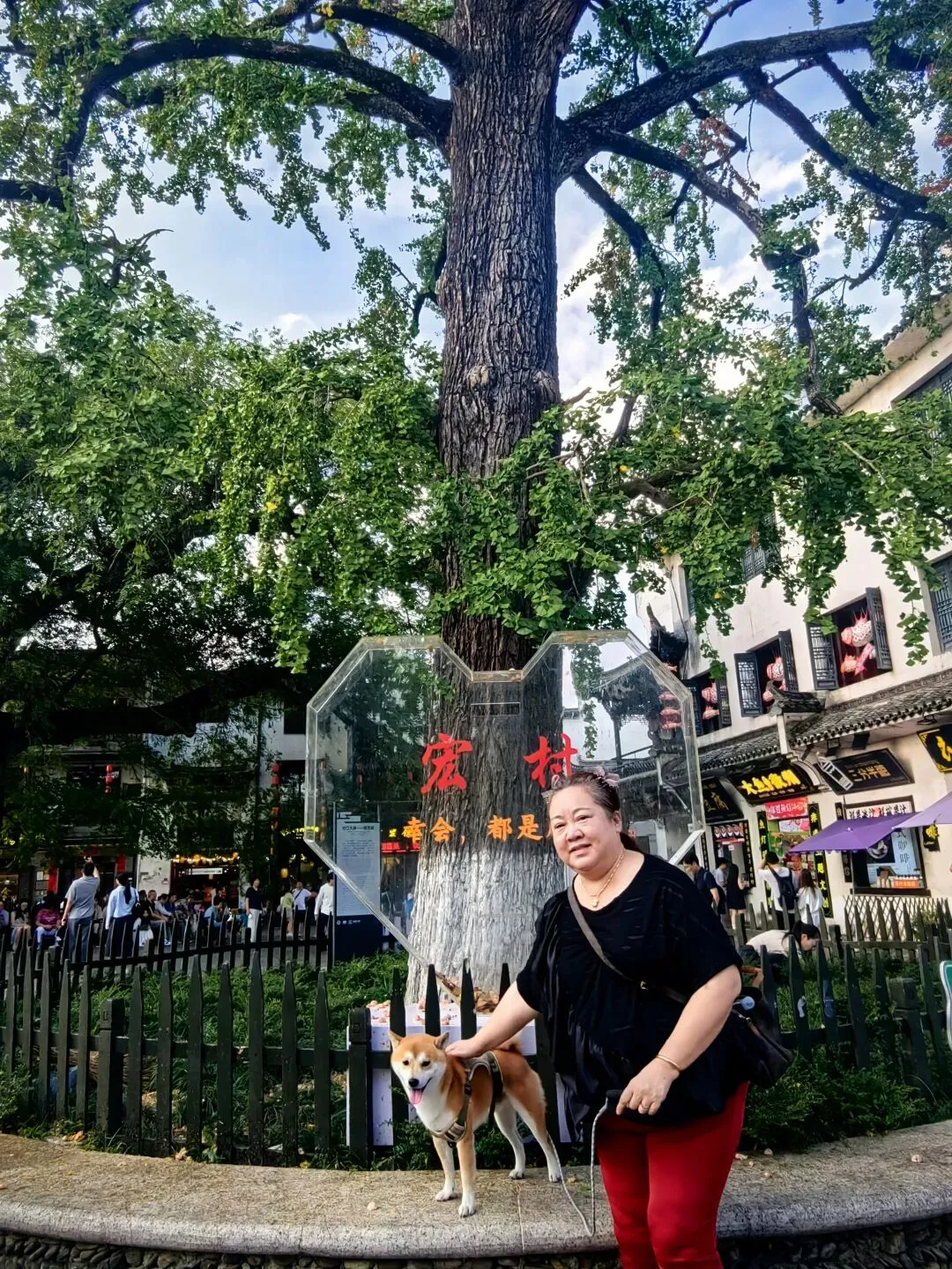 中秋节宏村及周边带狗自驾游【三】宏村--中国画里的乡村