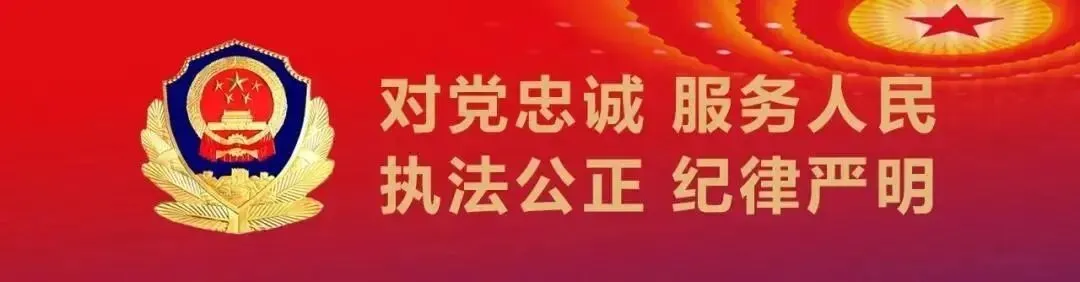 “自驾游、刷热剧、陪家人……”聊城公安国庆计划“翻车”了!