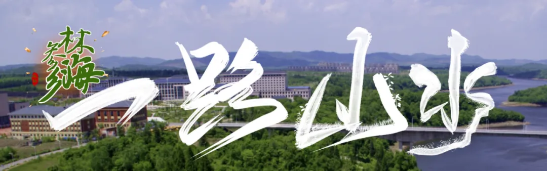 抚松国庆假期旅游攻略三期合集|山水·参乡·烟火