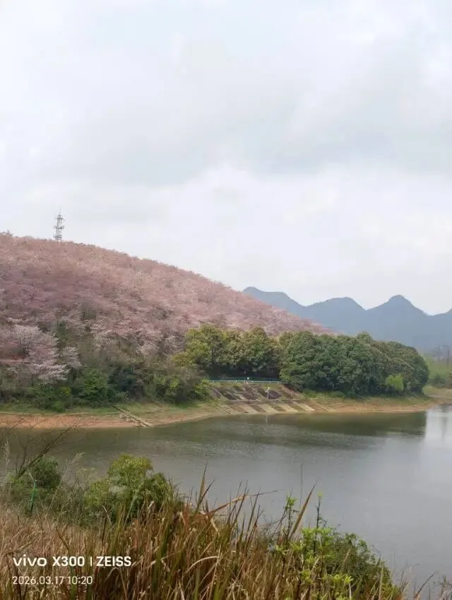 贵州7日旅行攻略