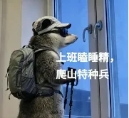 旅游“暴走”后脚疼膝盖疼?这几招帮你缓解疼痛