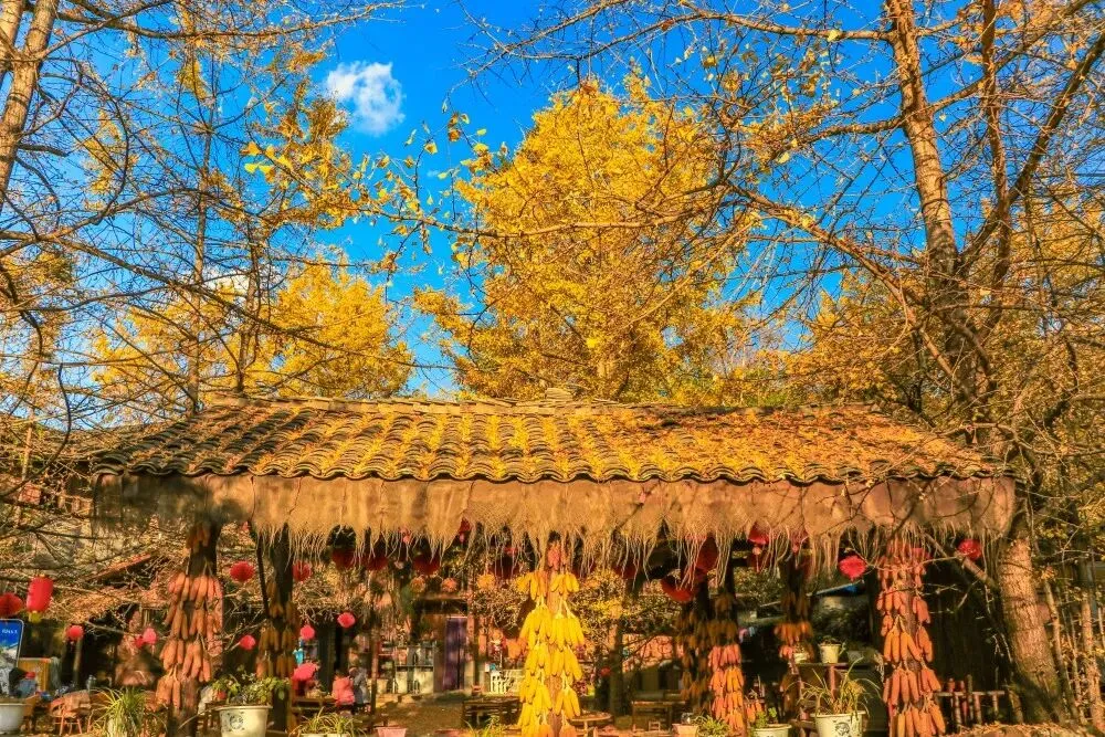 适合11月出发的10个旅游地,无需费心做攻略,忙累了,就挑一个小住几天~