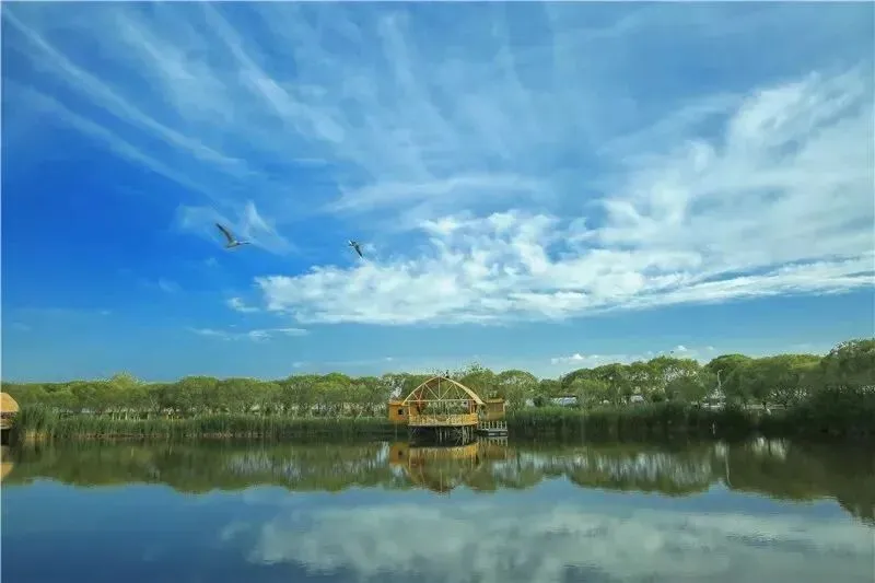 【乐游巴州】博斯腾湖国庆出行指南|这份7天游玩攻略请收好~
