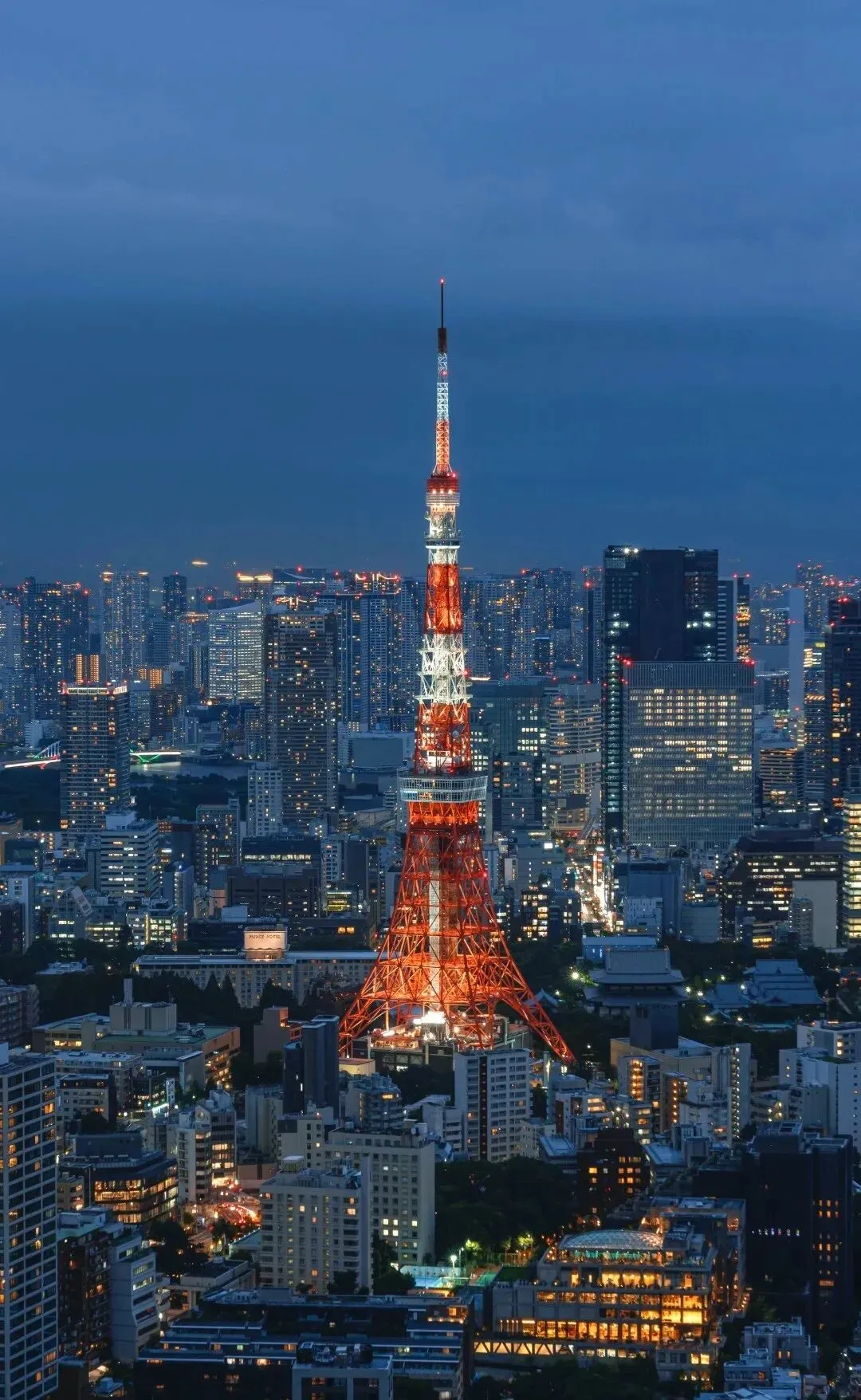 日本旅行全攻略:从四季美景到签证办理,一篇搞定