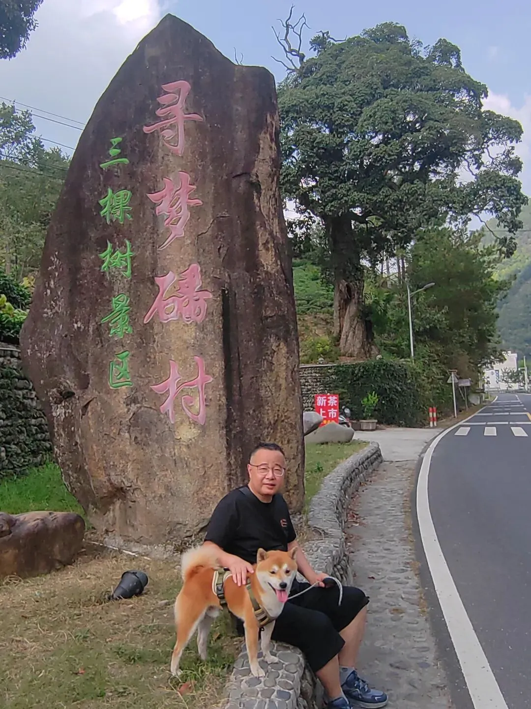 中秋节宏村及周边带狗自驾游【四】三棵树--世界遗产风景道