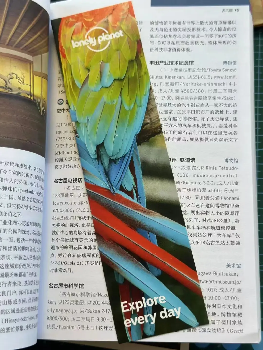 这可能就是“旅游”和“旅行”的区别