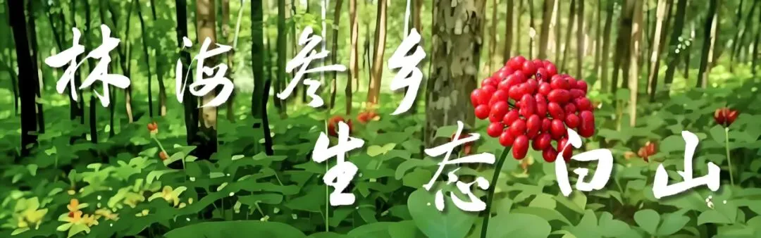 2026吉林·江源松花石文化旅游季松花石集散地展销大集开集