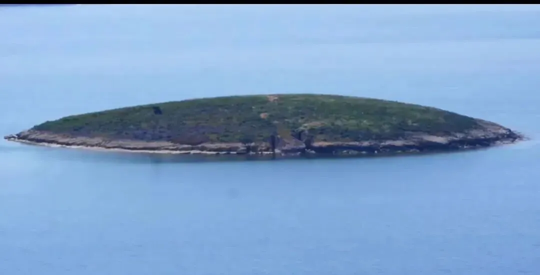 南昌鄱阳湖旅游攻略|落星墩、南矶湿地、水上公路游玩全指南