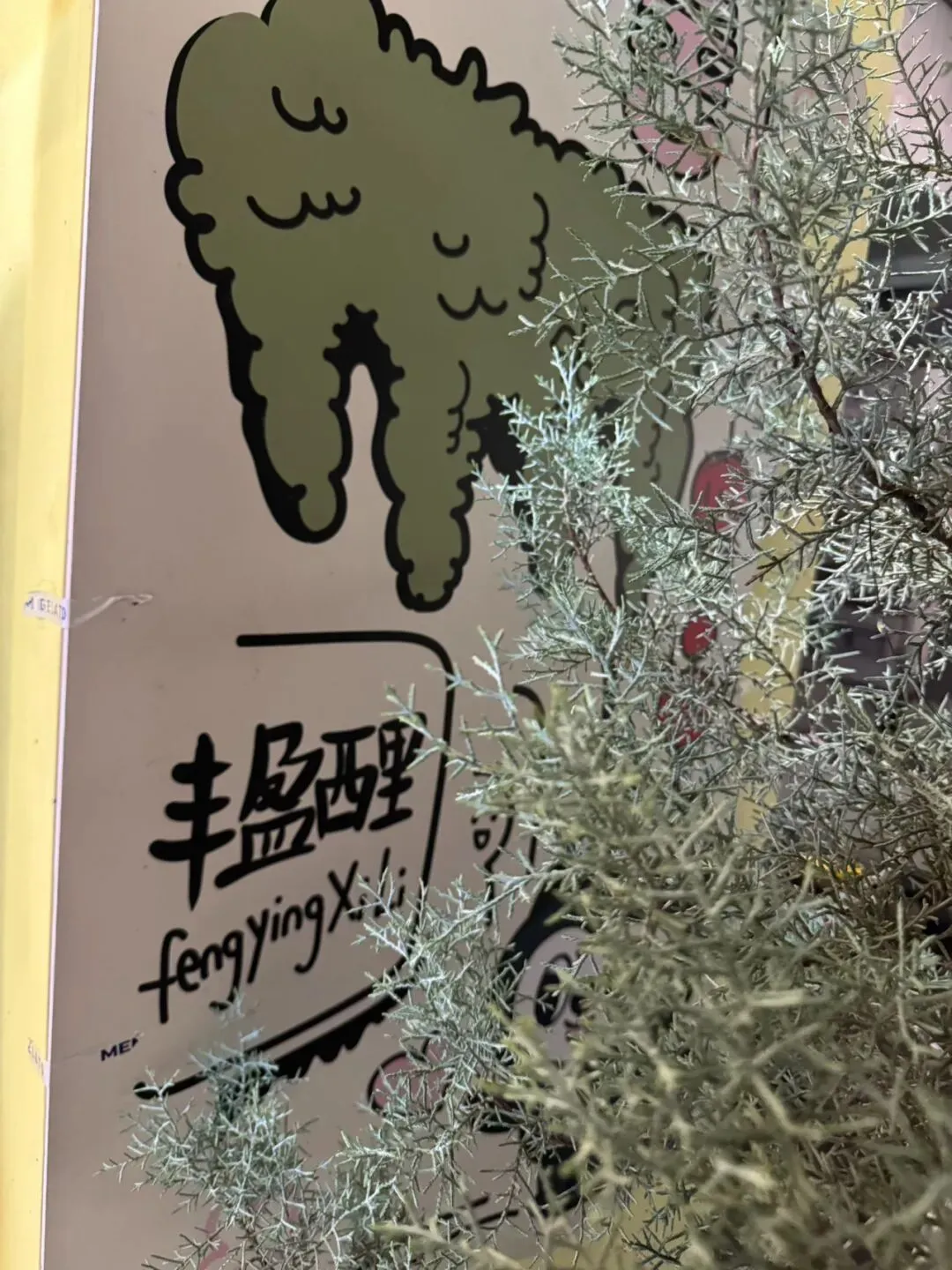 长沙旅游攻略-走进丰盈西里|苏家巷【14】