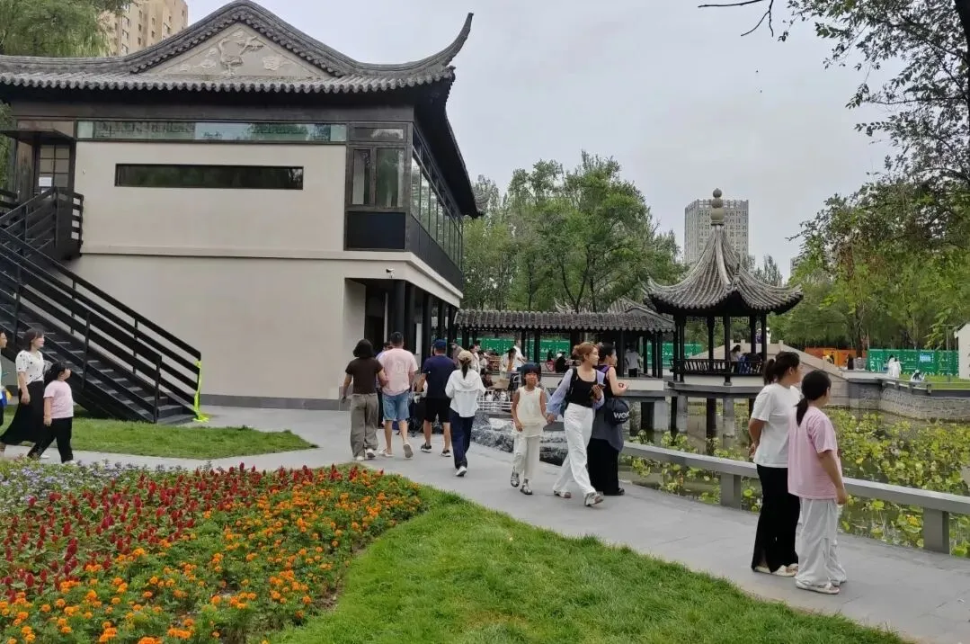 十一假期哪也没去,发现身边旅游的人都是老人赞助,我算是看透了