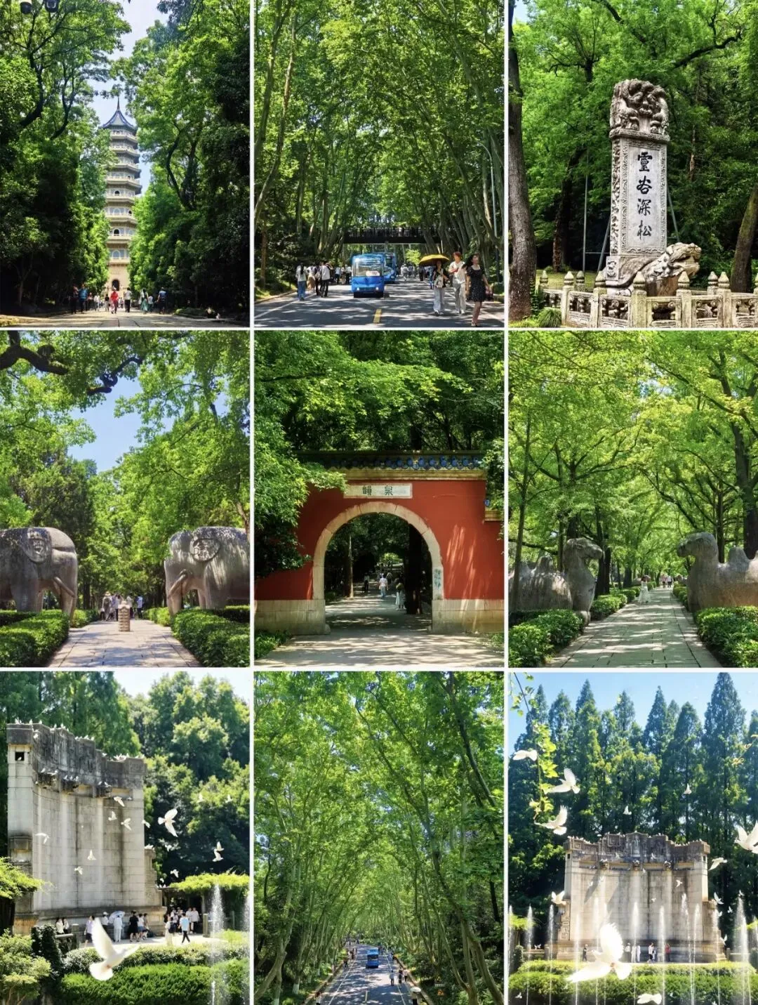 南京4日游玩攻略,真的不绕路不踩雷!