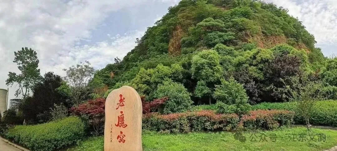 关于优化红色旅游公交7路专线的建议