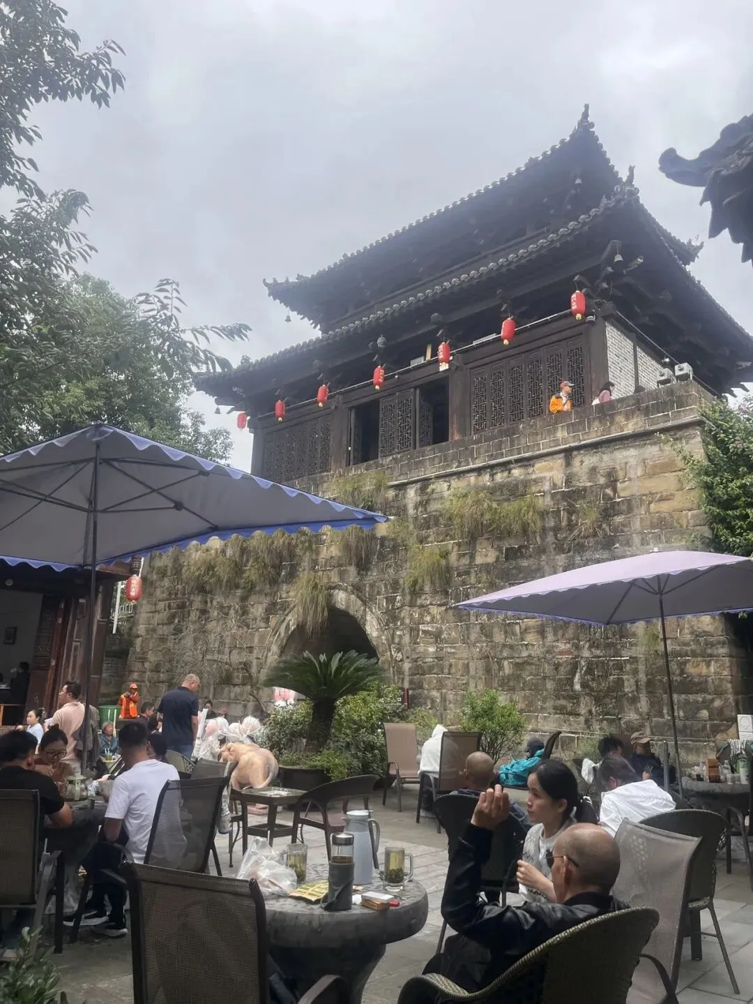 昭化古城保姆级旅游攻略|赴一场葭萌三国之约