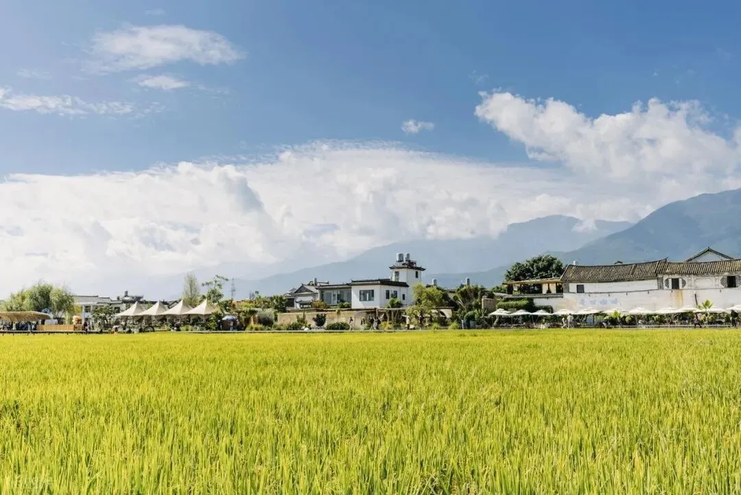 云南旅游路线,带爸妈这趟我反而劝你别排太满
