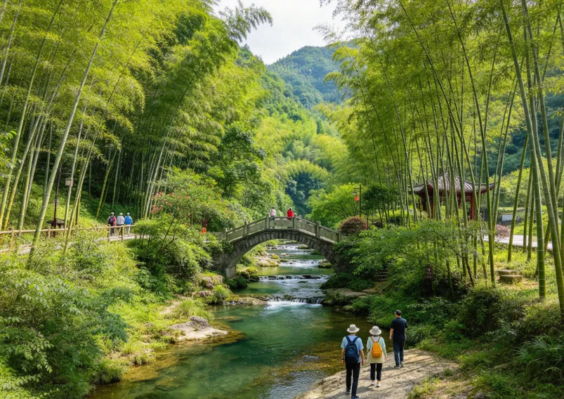 湖南益阳保姆级旅游攻略|1-3日完整路线,解锁竹海秘境与千年古巷