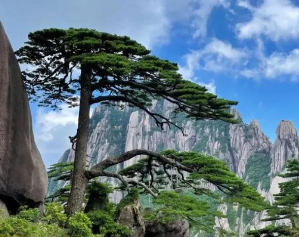 江浙沪出发,国庆自驾游安徽,‌必去的5大核心景点
