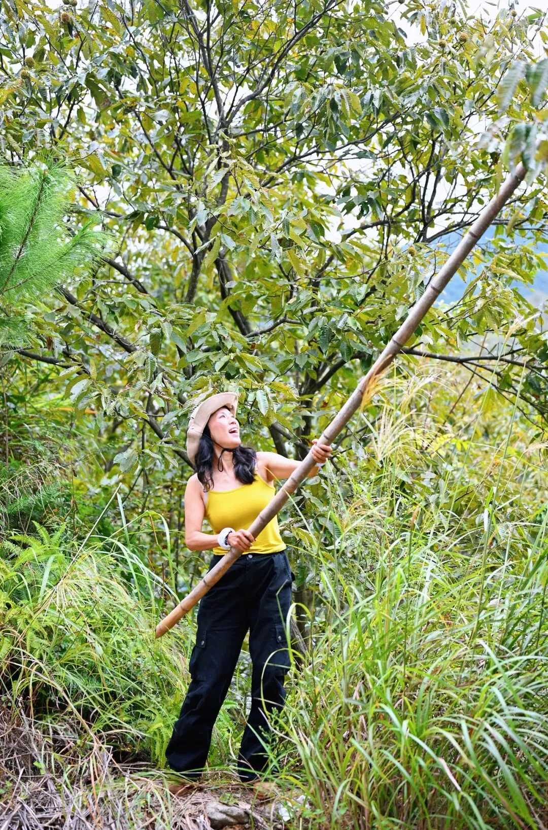 自驾游之小顺村
