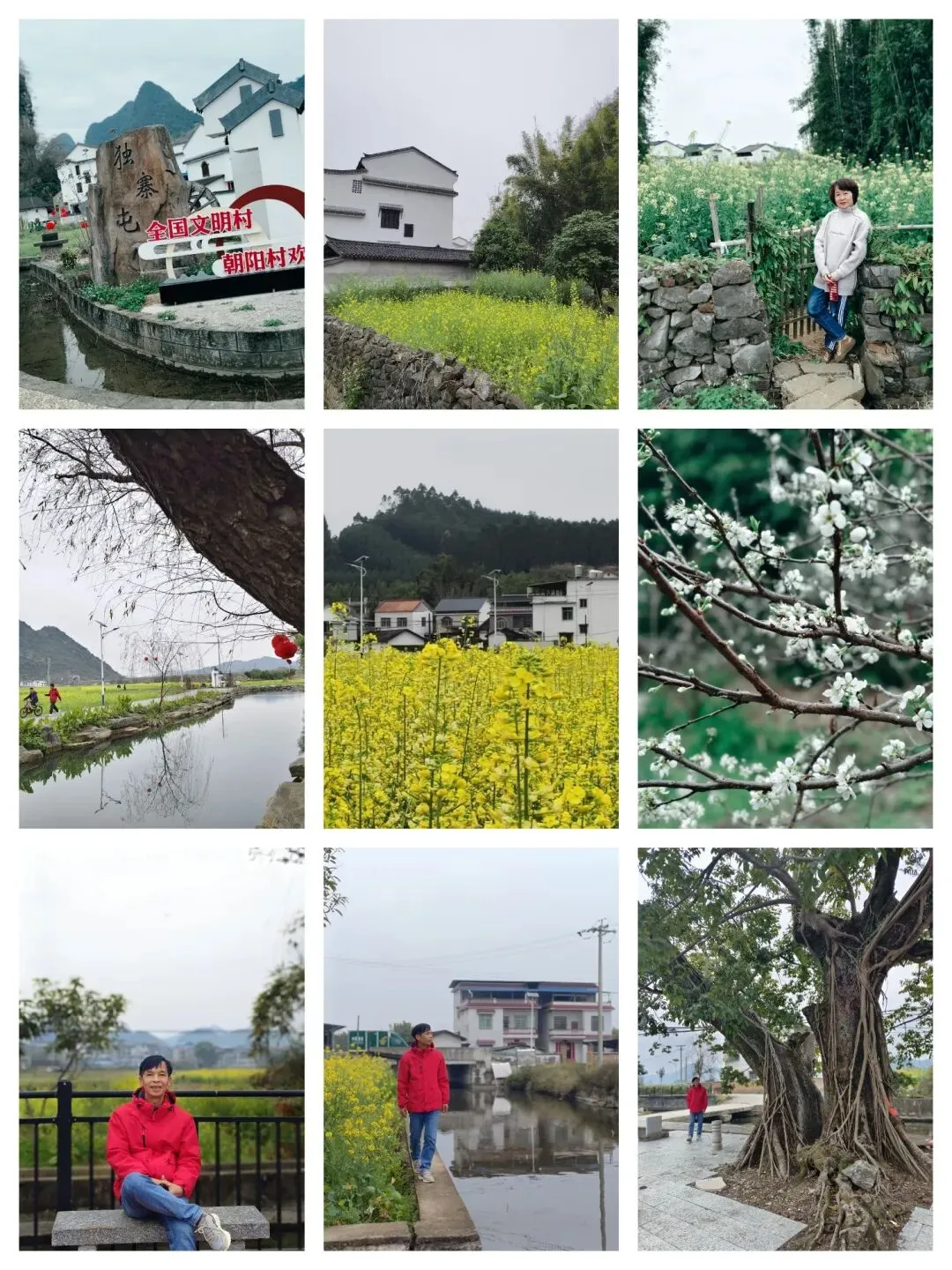 柳州近郊1—2小时自驾游|推荐9条乡村游精品路线,适合假期当天往返!
