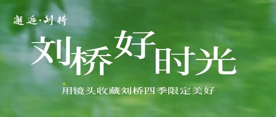 10.3 出游指南|刘桥新联街吃喝玩乐一站式打卡