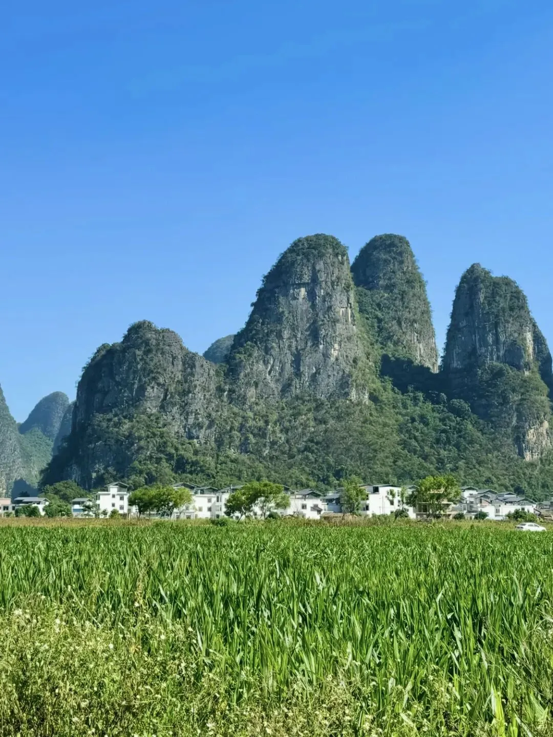 广西旅行!桂林阳朔北海涠洲岛不费腿路线攻略!!