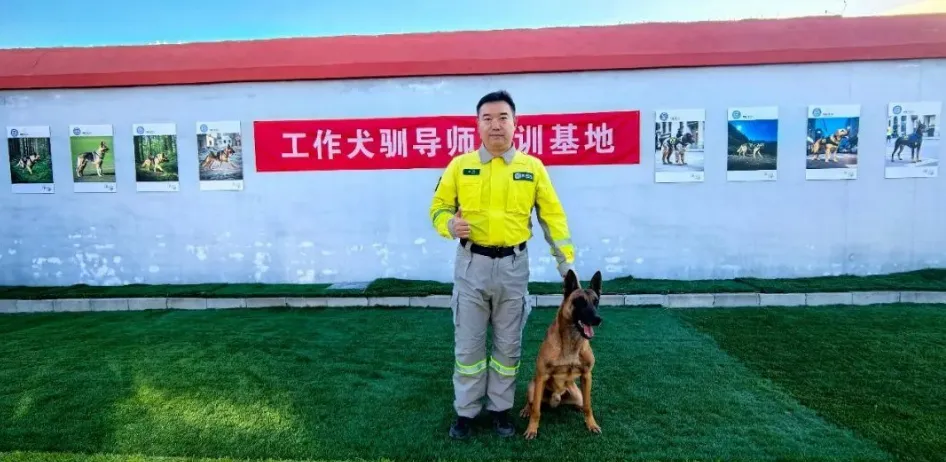 【北京研学旅游】「工作犬少年驯导师」与警犬并肩战斗!功勋犬纪念+互动科目展示,等你来挑战!