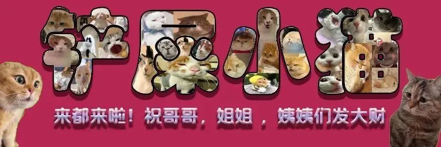 小猫国庆旅游朋友圈图