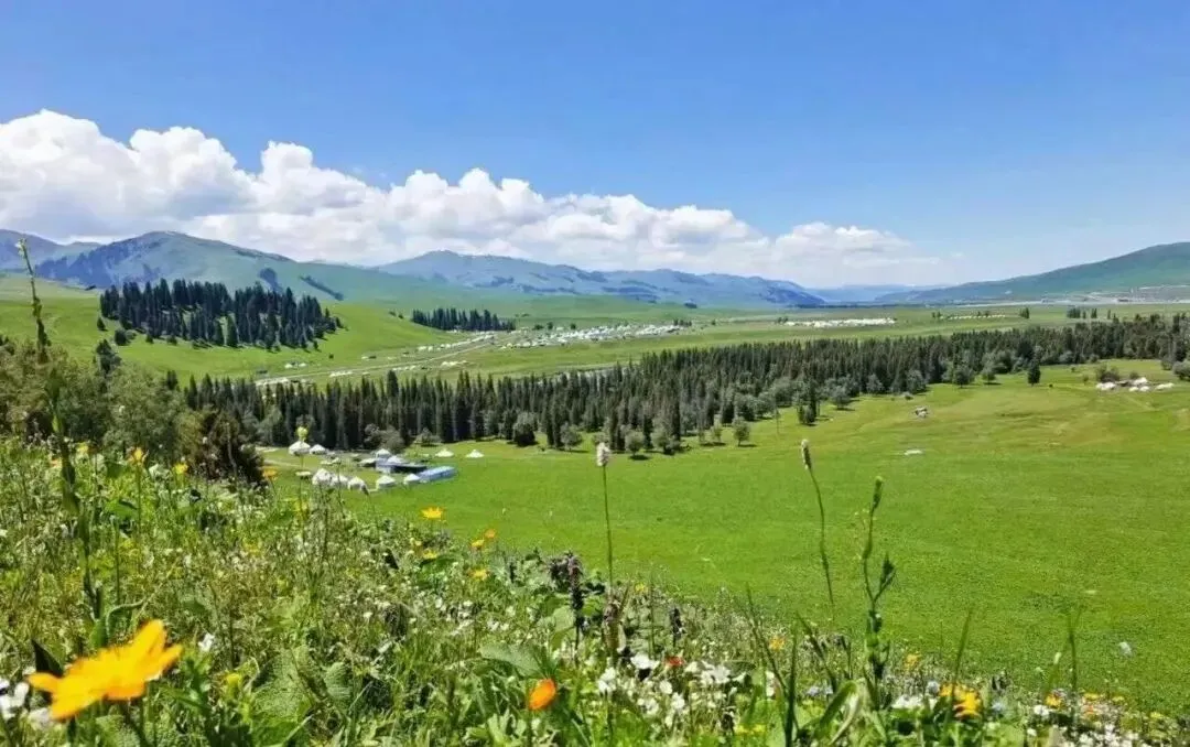 伊犁旅行攻略:本地旅行社路线季节交通与吃住行实用指南