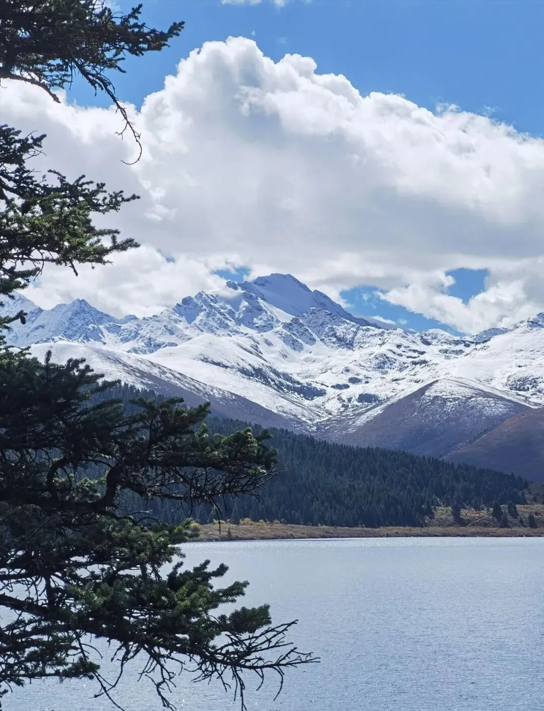 旅行多年总结出来的旅游经验
