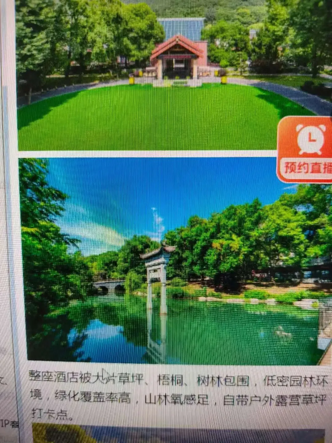 张传发|巢湖有一户会做旅游的商家