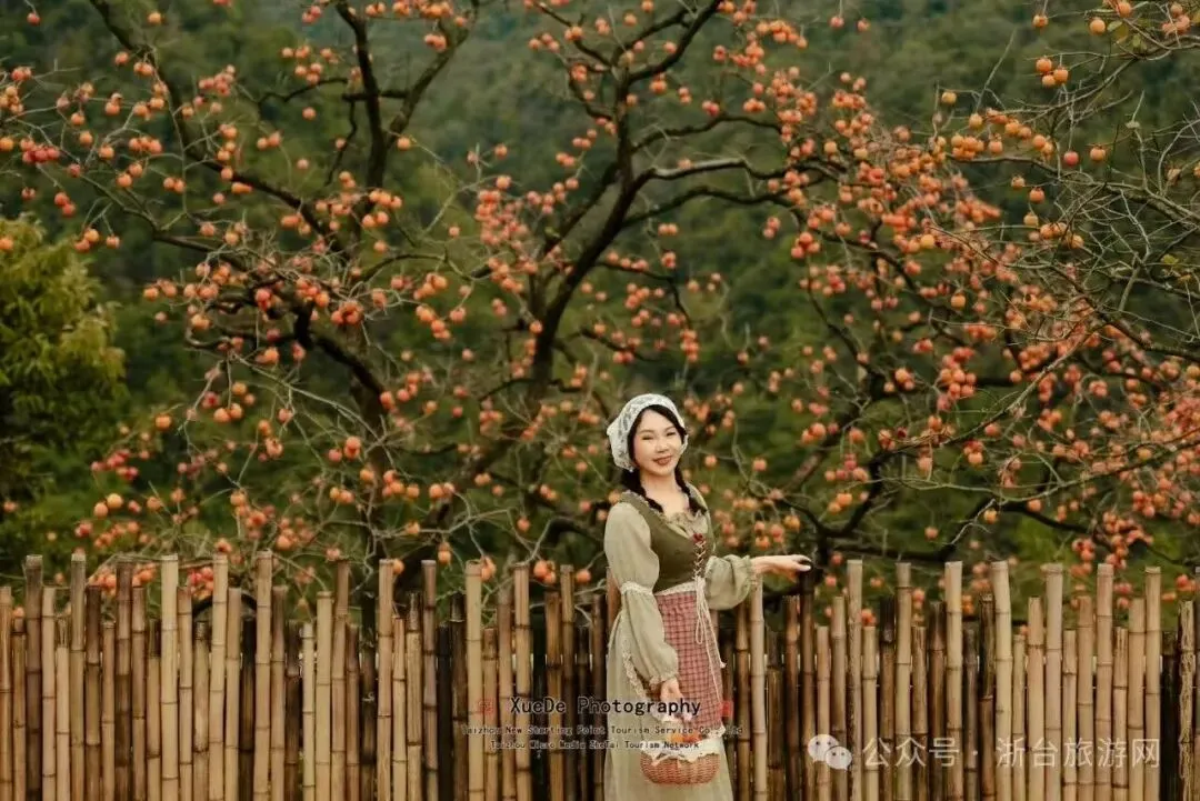 【风云旅游】10月11号周日 新昌兢山村赏满山柿子+盐帮十八渡风景区 休闲一日游
