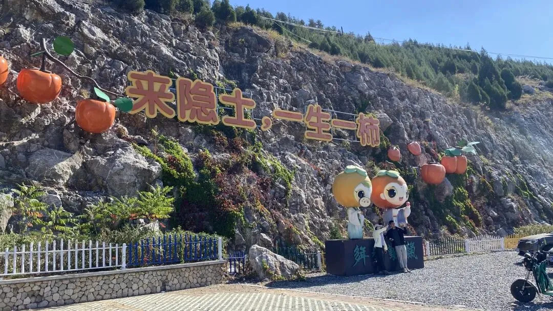人间烟火|隐士自驾游(一)::石头墙里藏着六百年的柿香与乡愁