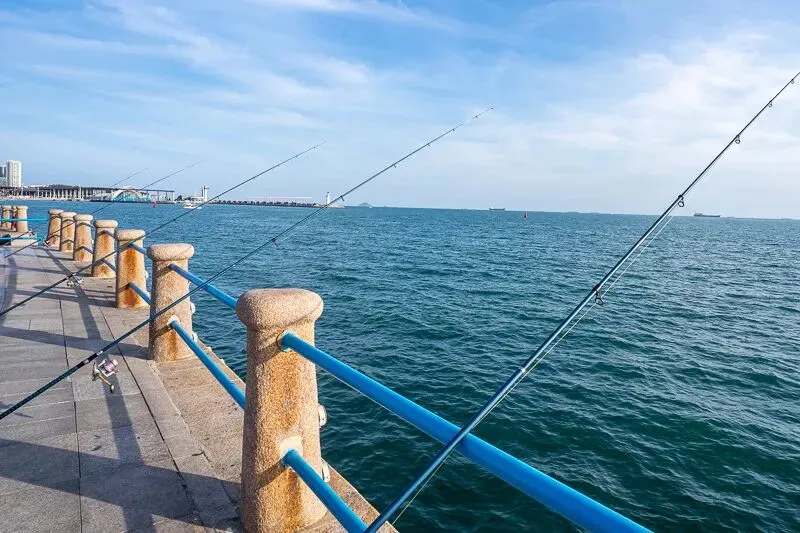 冬季青岛威海蓬莱还能不能安排海滨旅游?