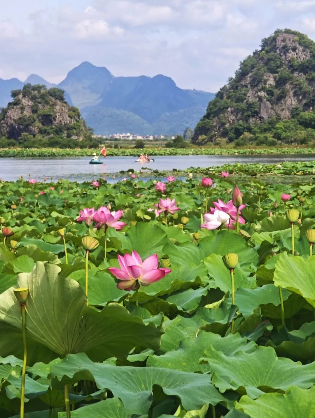 普者黑旅游攻略