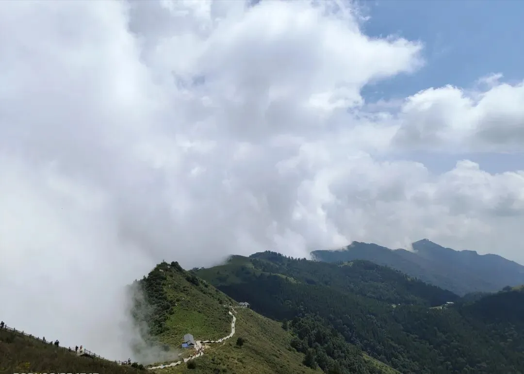 【品读旅游】石家庄滹沱河流域悠久灿烂的中医药文化与红色中医药康养文旅业融合发展研究