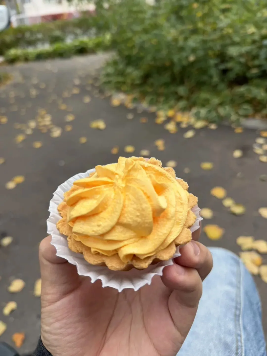 莫斯科自由行真的是地狱级?一个被小瞧的旅游目的地