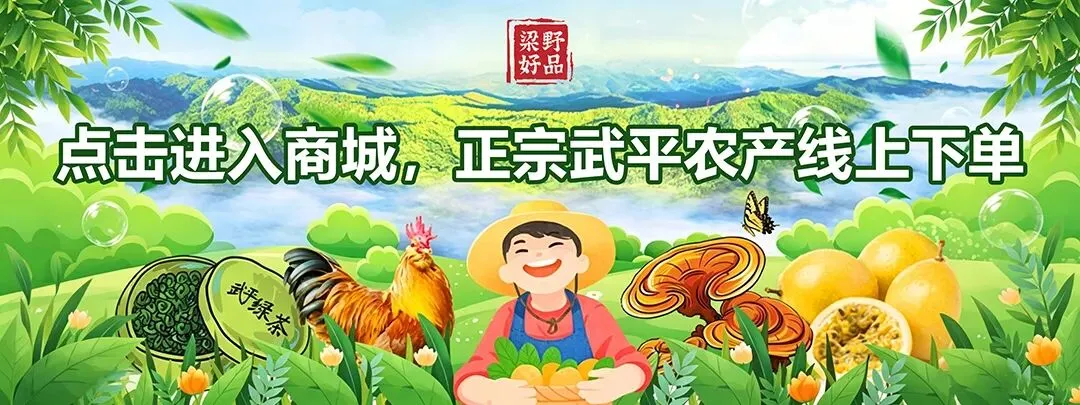 没有旅游打卡,只有责任坐标!武平公安的国庆“导航”太特别