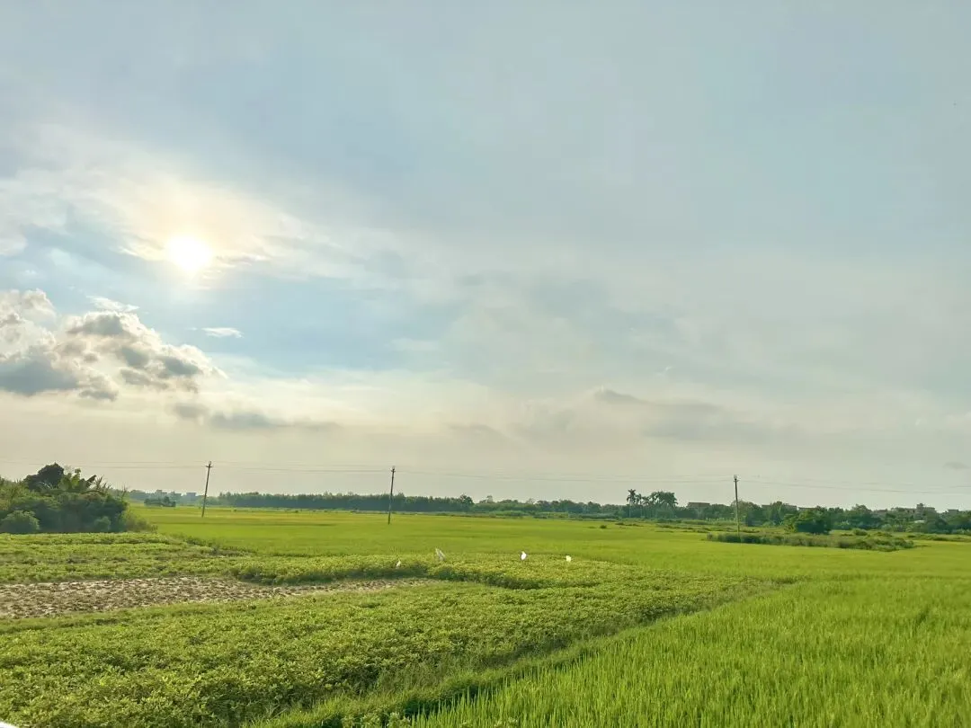 有一种假期叫回老家:别人花钱旅游,我回村抱自然