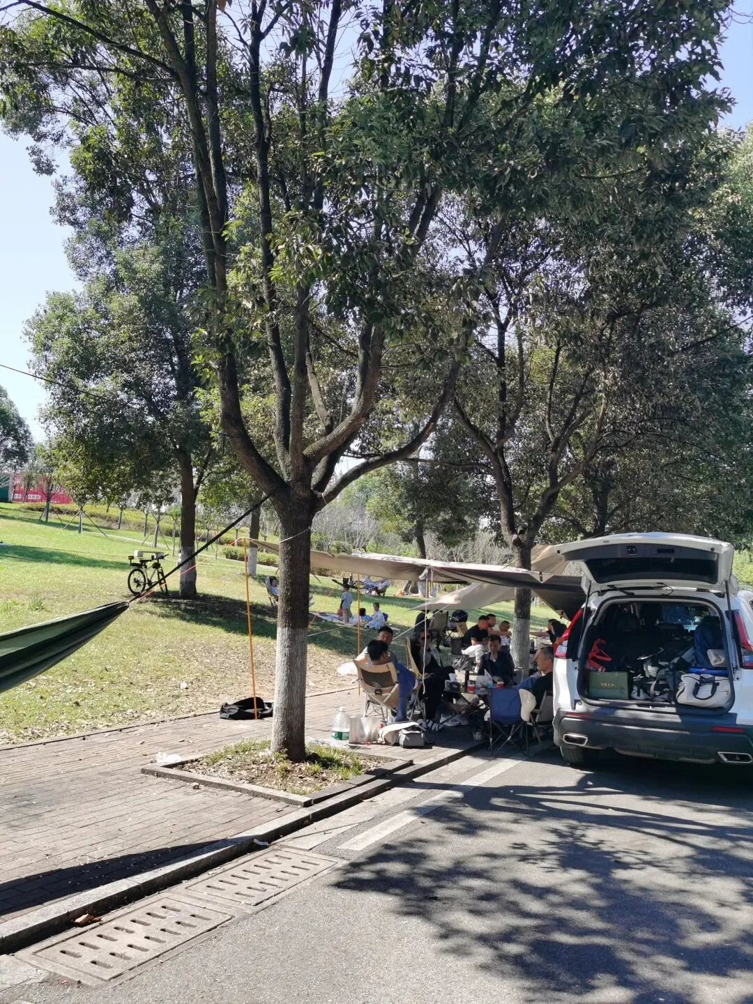 致没有出去旅游,赏美景,品美食的岗位坚守者、宅家人: