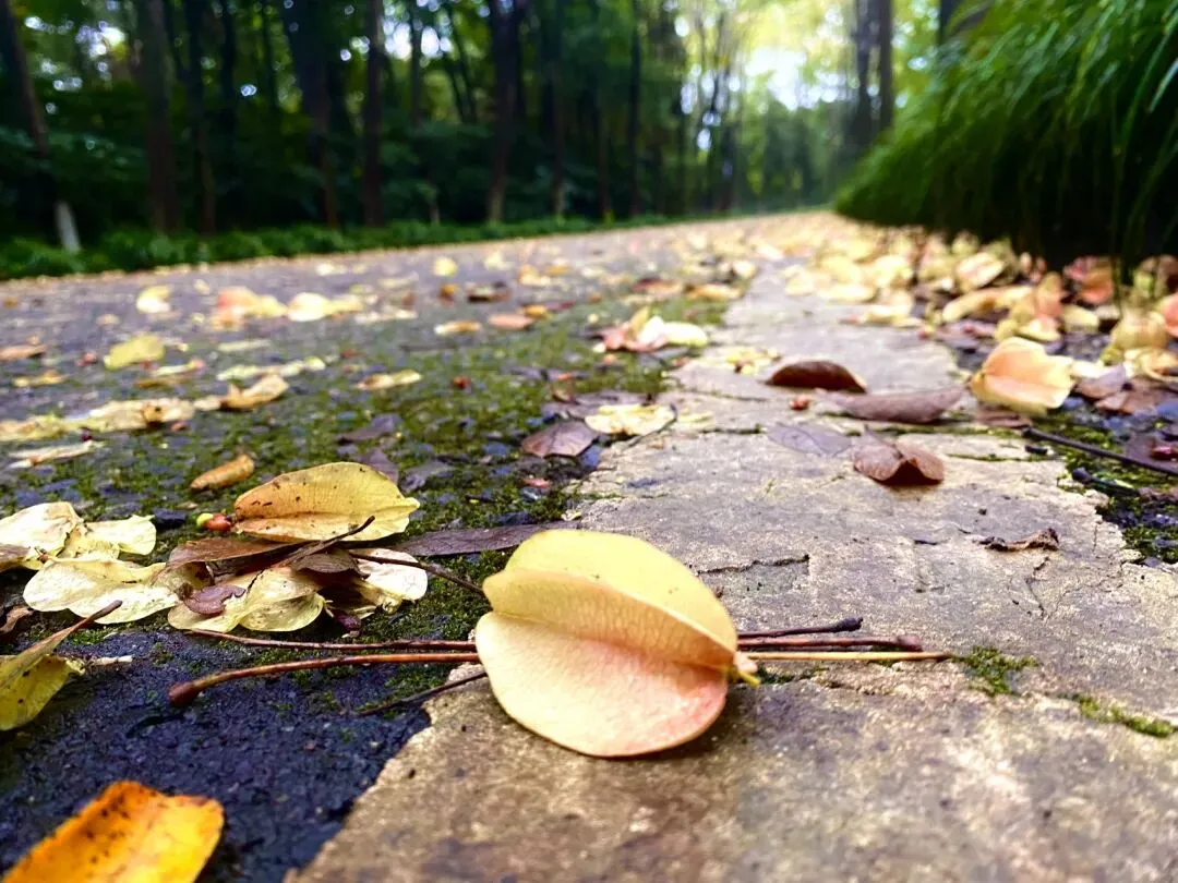 你所谓的旅游就是“赶场子”!