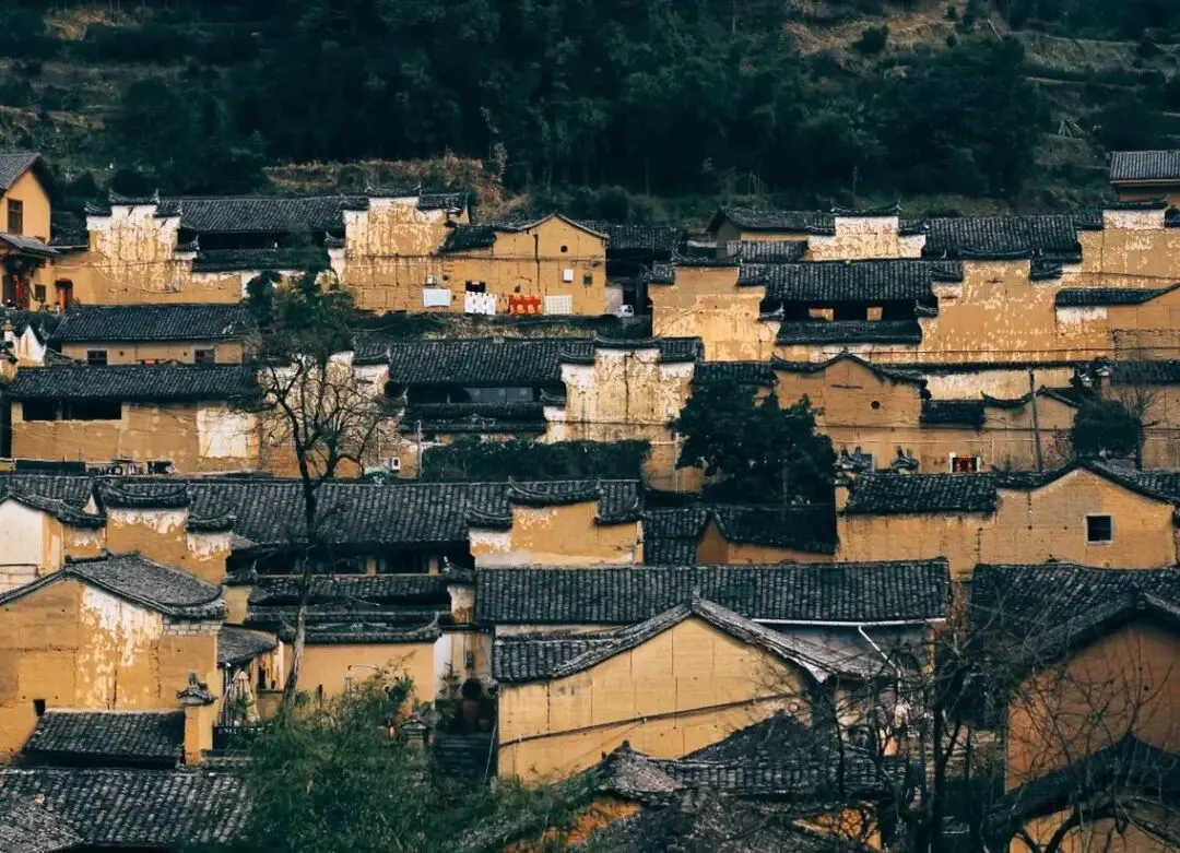 【乡村旅游】重构乡村旅游:从走马观花到共生共长