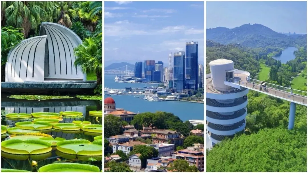 秋天去厦门旅游|十个必游景点攻略请收好