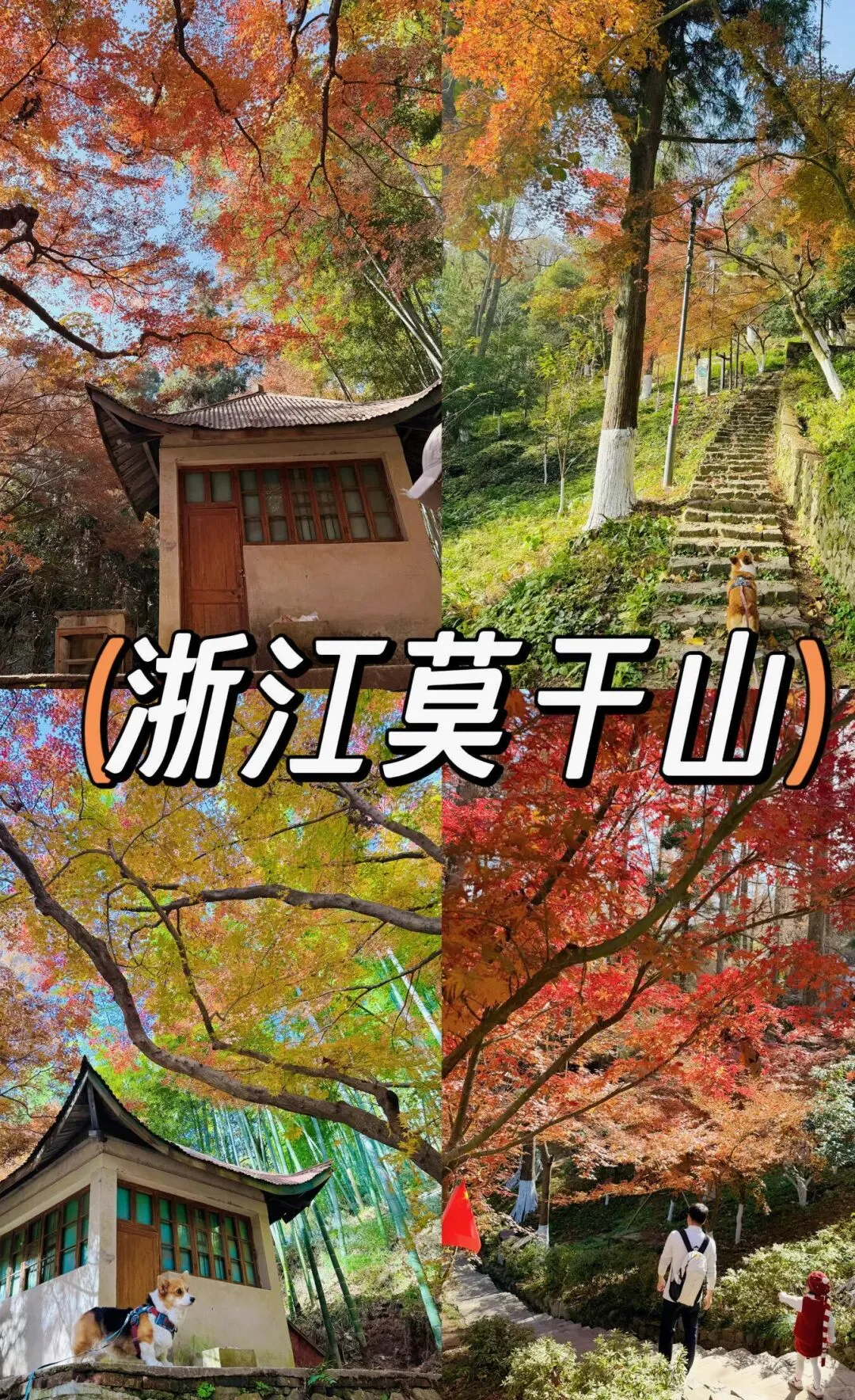 旅游就来这4个地方、消费不高 风景优美 特别适合带着孩子 老人游玩 给你做好了 早看早知道
