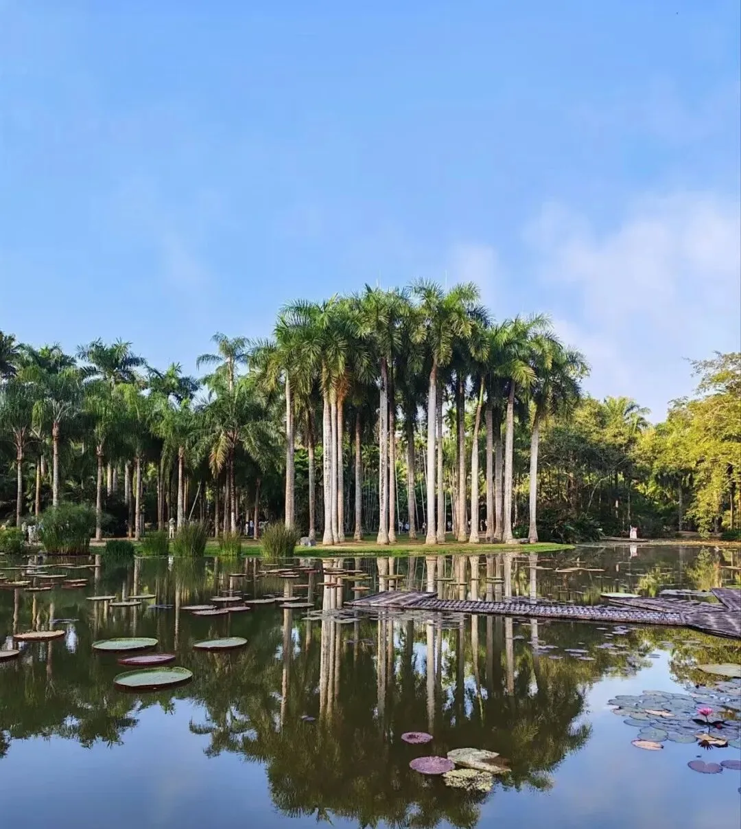 每次出门旅游都有遗憾