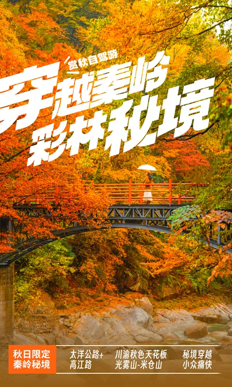 成团【秦岭赏秋自驾】10.26-11.01、11.02-08 秦岭彩林秘境!大洋公路-高江路-川渝秋色天花板(光雾山、米仓山)