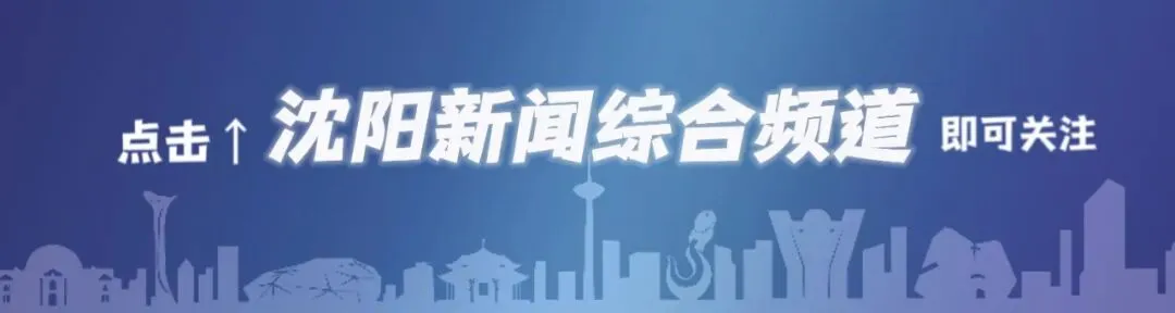 不建议自驾游、自由行!中国大使馆提醒