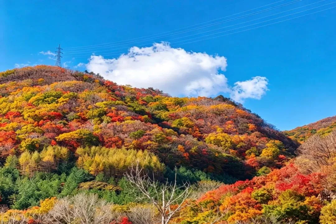 汤旺检察 以初心践履服务旅游大局