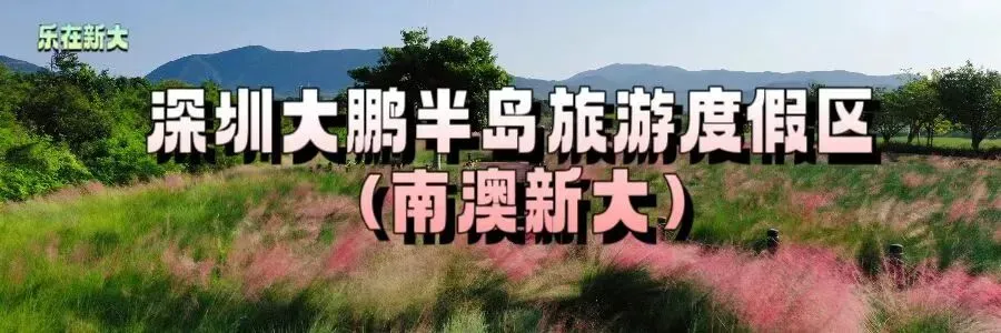 人生首野,奔赴山海|2026第六届南澳旅游登山活动暨深圳鲲鹏跑山赛报名开启